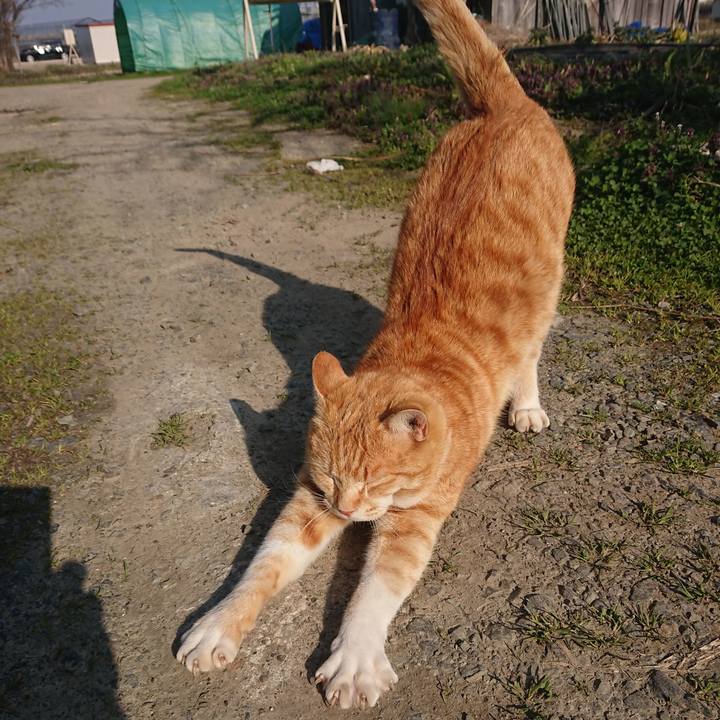 44214907 051e 4e75 867e b0dac1cd4ca8 1585982099934