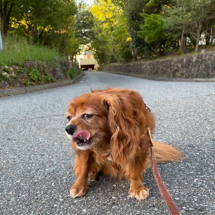 442151fb 2c94 4ed0 871e 379bc740c533 1693090391487