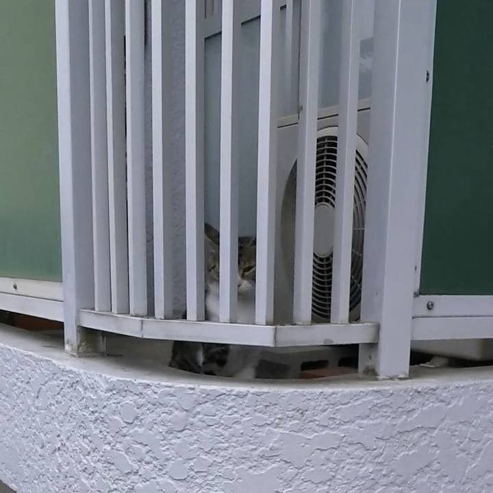 44217508 d8db 4950 a885 3ca2af3b5315 1569057261883