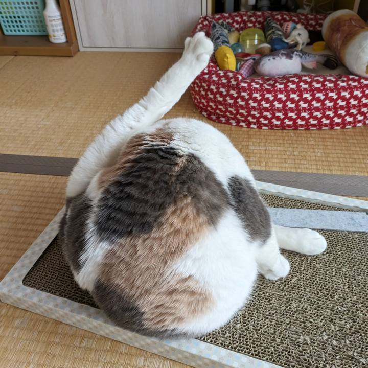 44219813 dcab 49f6 9de0 75f10d89bb8f 1710821212818