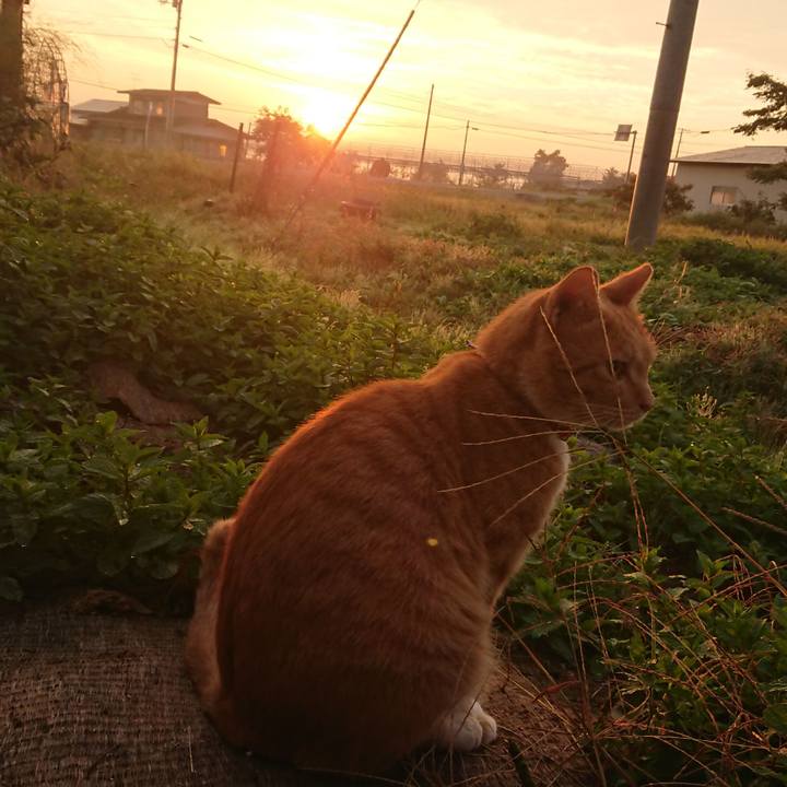 4421b5c3 7446 4e77 82a4 3cc314fee680 1570049851594