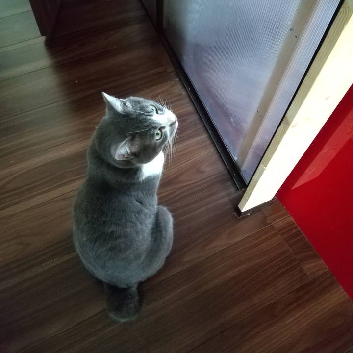 4421da03 a4bf 448f adeb c2a61ebaf196 1628344557083