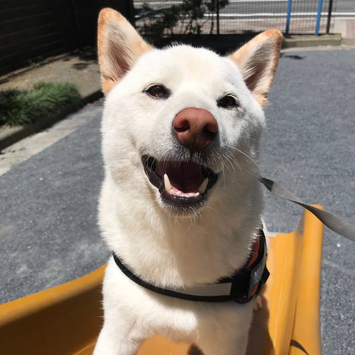 442240a6 a78b 47ea 96e1 c45f747f5852 1530325769083