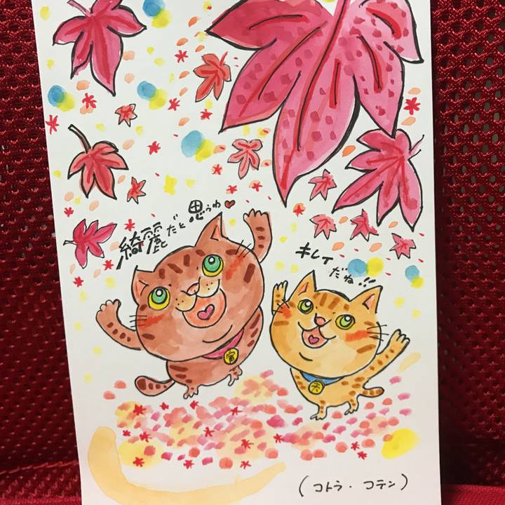 44224a1b 81e5 4b75 968f 92a65fa78d15 1541075474928