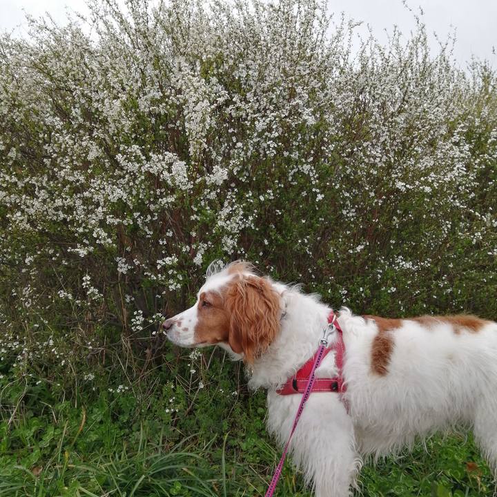 44226e74 4afa 4a2b 9564 bac1706b3e4b 1584168392242