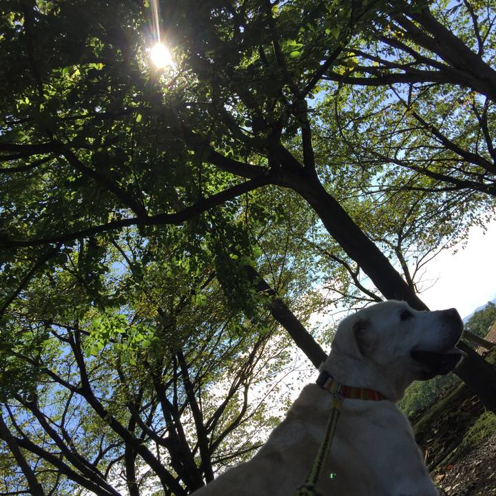 44229a0e dd55 46b4 917a 4afd6e7fba59 1537971236867