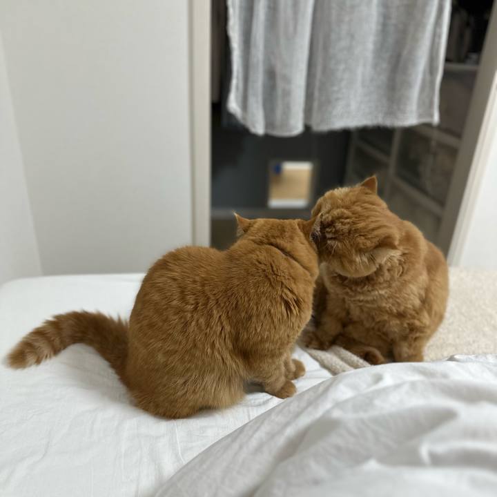 4422b1f8 e711 4a55 86ab 8a665ba6f9ff 1772408079788