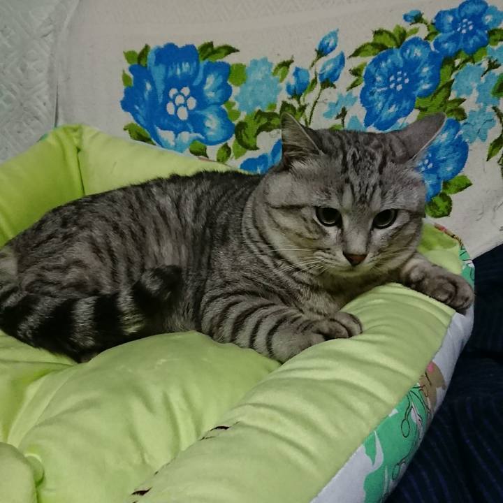 4422c981 d6a4 4d31 8d33 767e9ee7ab77 1511227487252