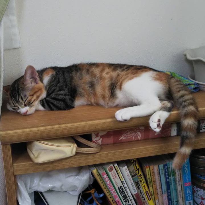 4422e8ce 5be3 4fea b04e 4292b034647f 1629432162402