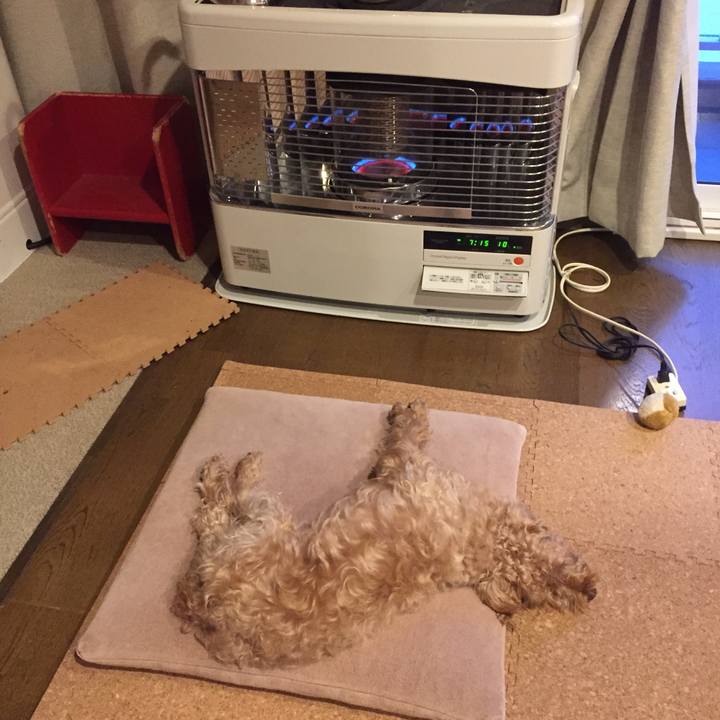 44233016 ecde 4007 bf43 d2a0898c1de8 1515449746753