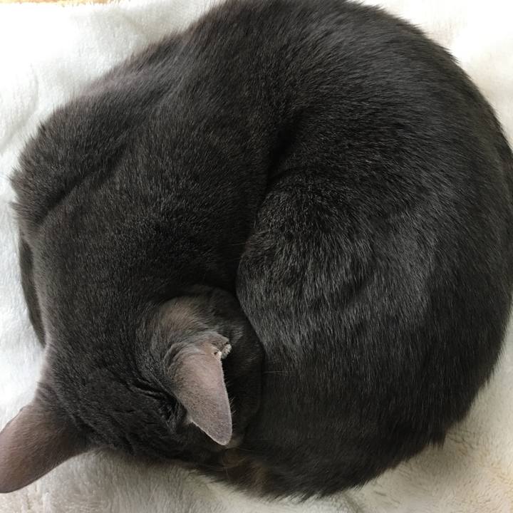 44233085 9a0f 4752 98cd fdd685fbebcc 1587981787633