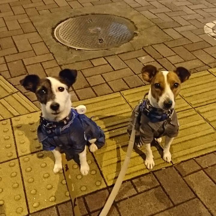 442332ae aded 4291 b676 7b3837e35fa3 1539513718309