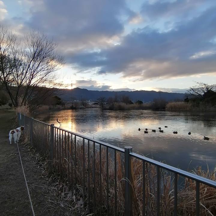 442336a2 09ab 4690 8462 e394b2e96b83 1611964889035