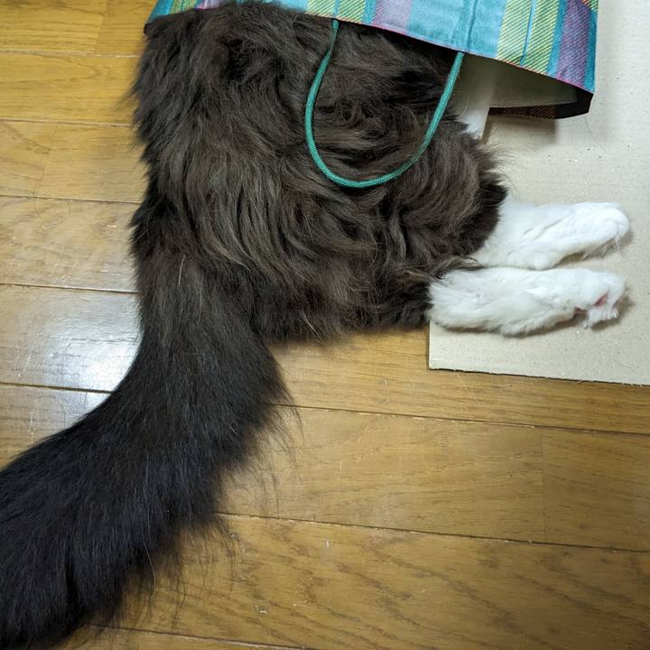 44233907 36ee 430e b136 368377a1e058 1692187698406