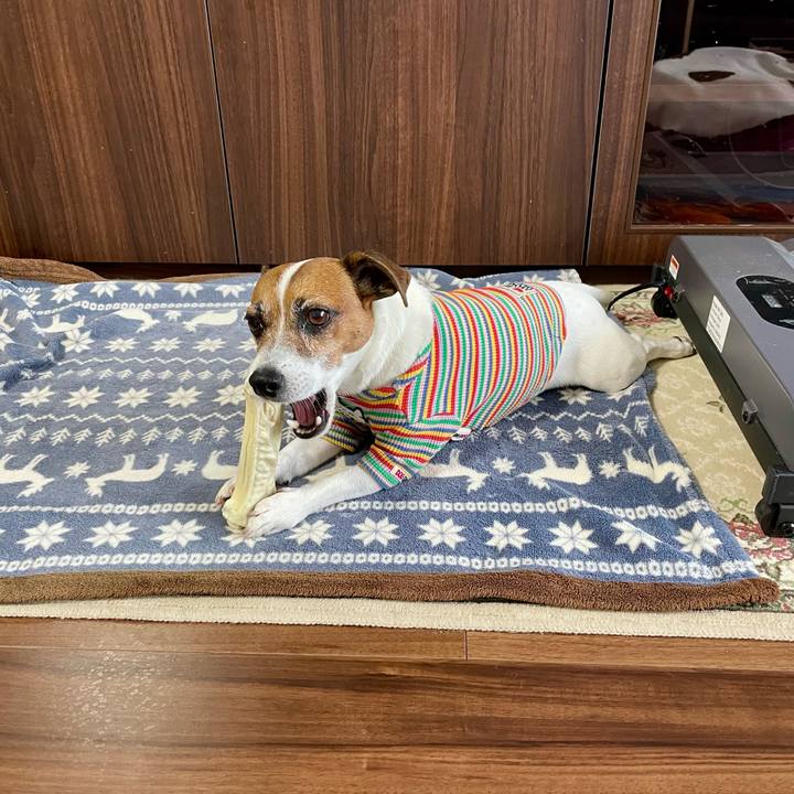 44233b27 e63c 47cb ab7e 132f16504b7f 1746586405614