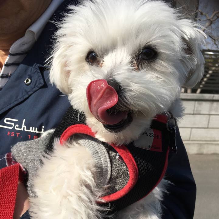 442369b9 e0b4 48f8 a279 99dcbfa17163 1550921258839