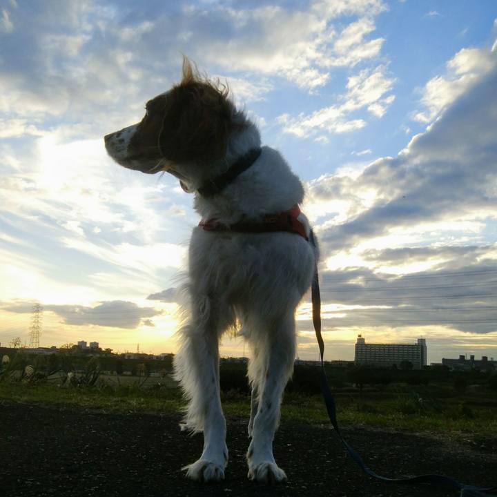 44236a6c 0088 495c 81aa ad8478144b7d 1541147979388