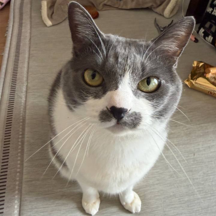 44238450 b990 4603 b22f dc55335af210 1774755940002