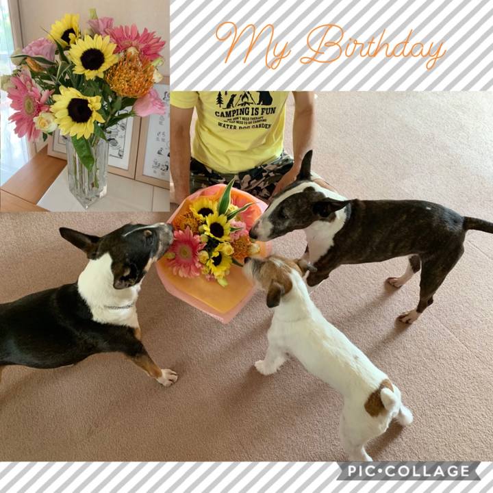 442393d9 eca4 40bc a13f aadb0a584de1 1597031141726