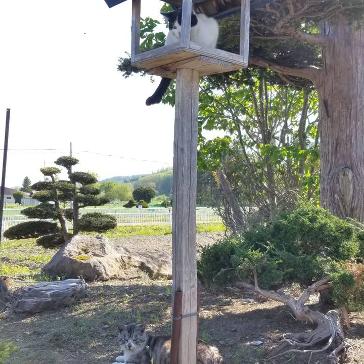 4423ab91 50ac 4951 8730 7da6d72d5bb7 1621521336827