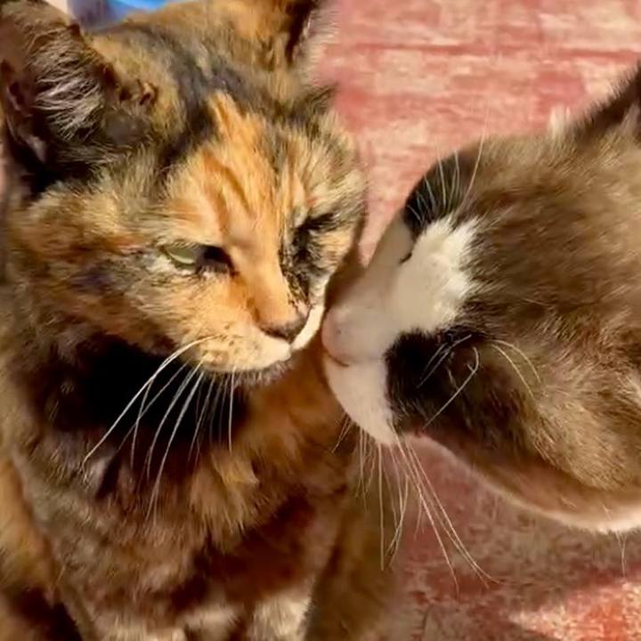 4423be44 b62c 48bc abf2 9b10b6b3a21e 1768185067502