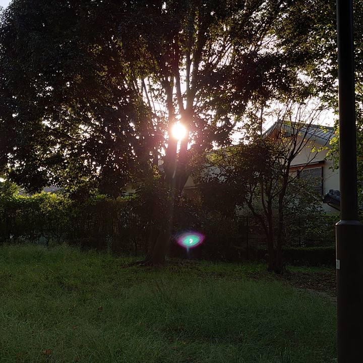 4423f18f 319f 4a83 8657 87c9b6dd76dc 1602581290578