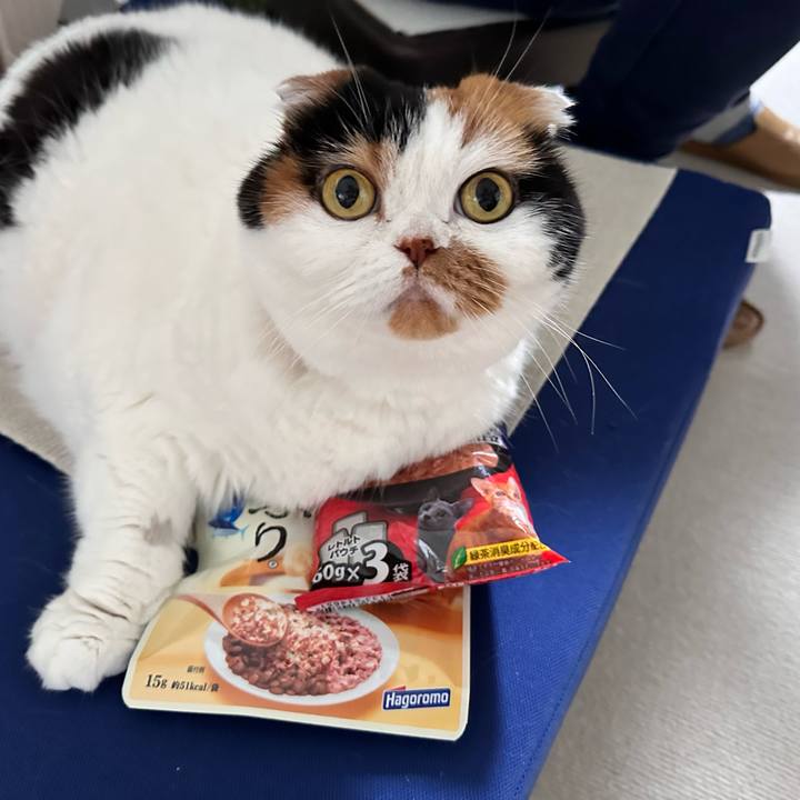 4423f31c e16a 4fd8 be4c 0fc2956bbe4b 1715042882263