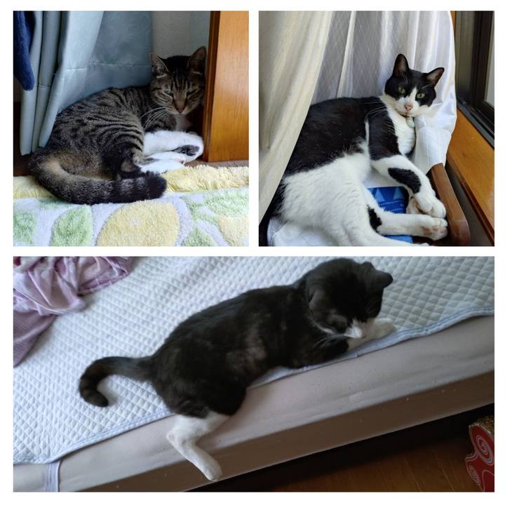 44241848 7218 4482 922f f81c26f0dbbf 1753503201749