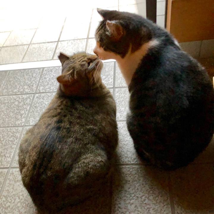 442420e5 b87d 4bfe a781 0a3ba1205ddf 1546687327622