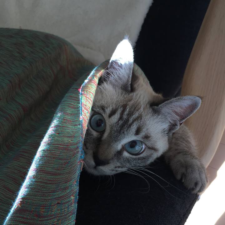 44244b62 e2f2 4632 baa5 c9f8116e2db1 1548464579748