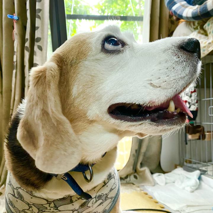 44244c02 47d8 49e5 9ee2 8118863804e9 1621137070985