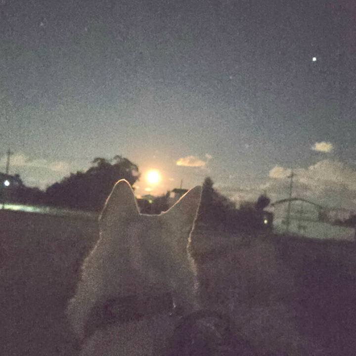 44244ec4 1bdc 4901 85f9 80ccc8c4f300 1734340690044