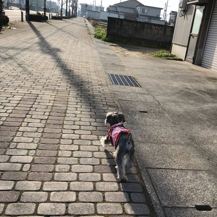 4424502b bf7c 4e6c 9326 66b514609d8e 1554548963786