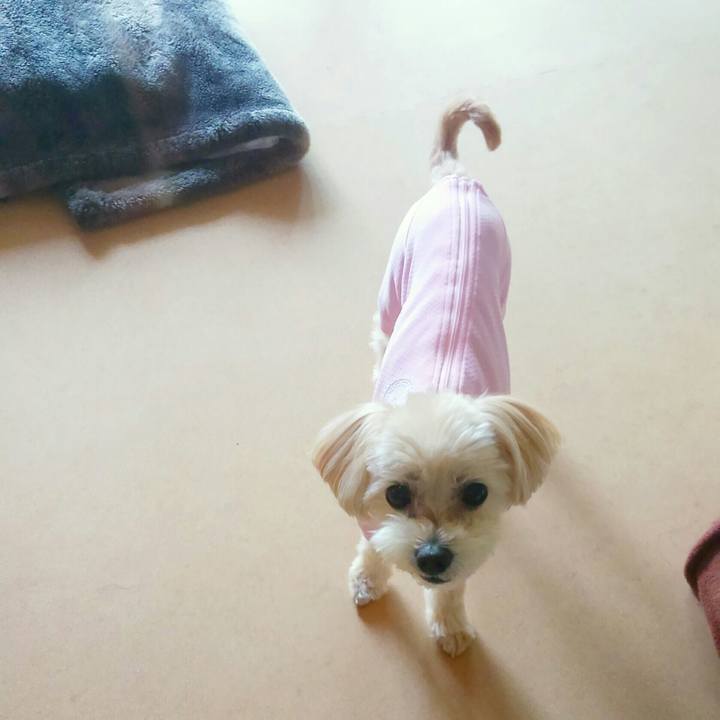 442488e3 bc87 4cc3 88df 6d9430b7b7a5 1525321416927