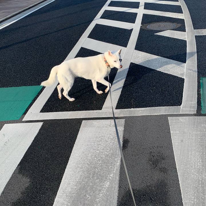 4424a136 26e5 4a26 9186 3d36a5753983 1574468862535