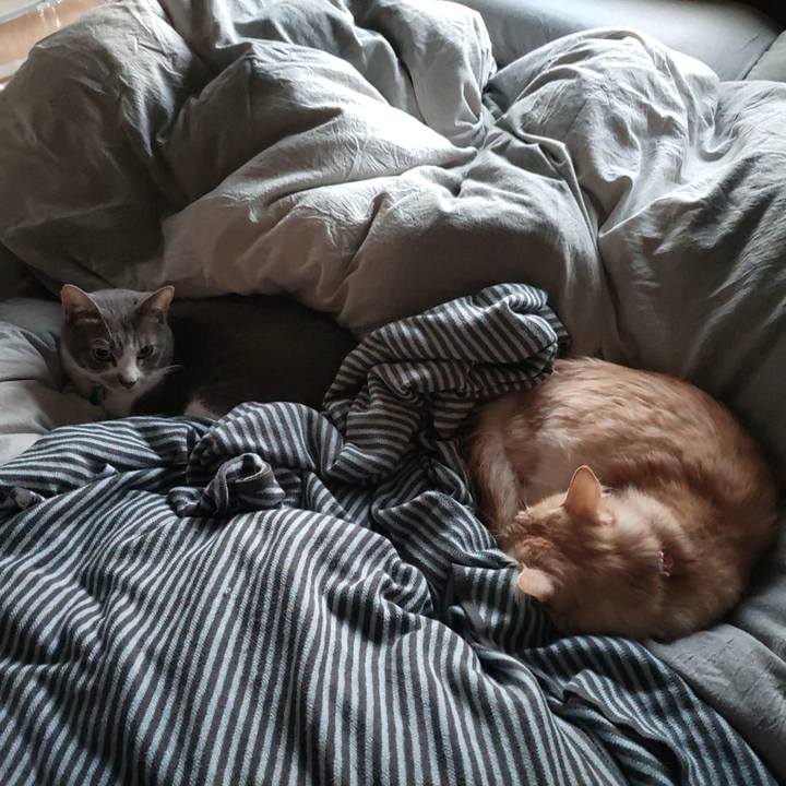 4424b814 96d4 4f0a 9dcc 25b0ca471646 1700777225740