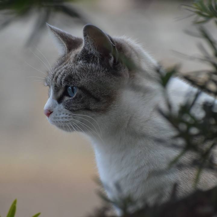 4424ed73 dcad 47ad ac62 cd861f9c9bfe 1550376657959