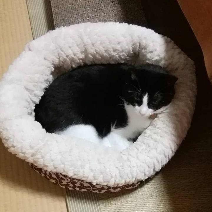 44255936 13bb 4877 a016 7d5ede577556 1571150504528