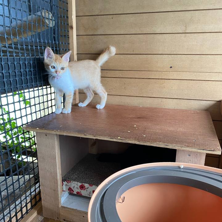 44256f1c bb40 473e 9b5f d32ba3826fe4 1631666460112