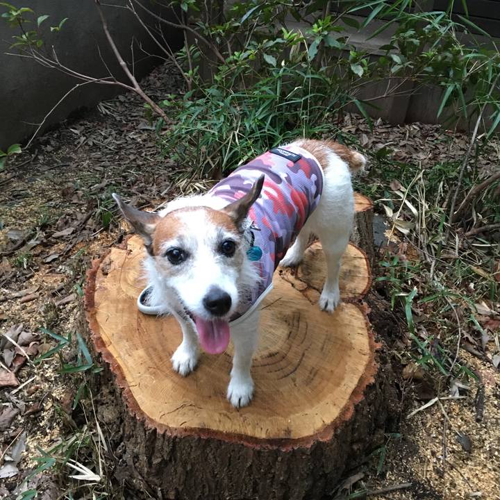 4425822d 92b4 4654 af08 980d1b045d53 1661469926585