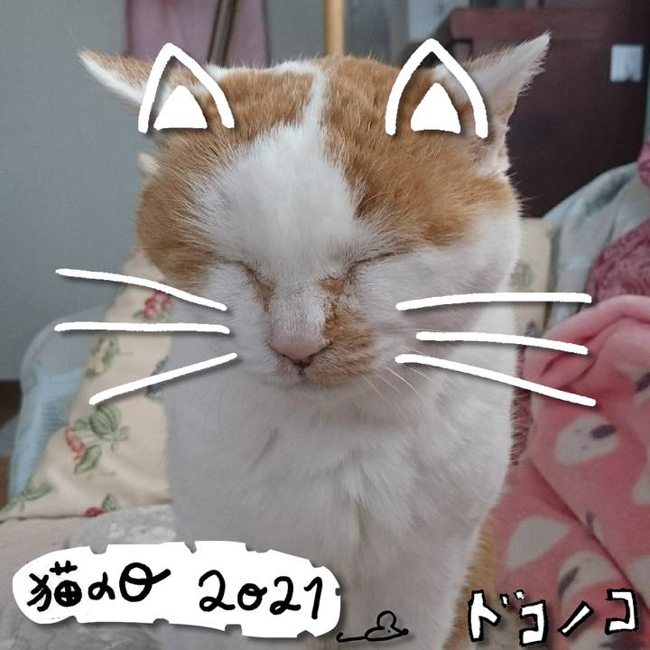 4425941e 2442 4fec b250 467c85dbf920 1614002467376