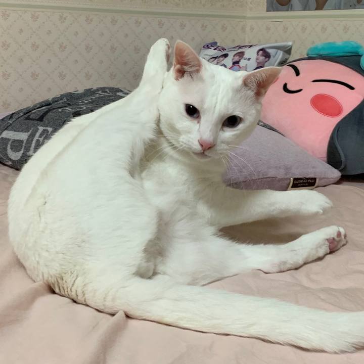 4425c92f 1d7e 496c b161 1c5f9d590fe1 1557235539258