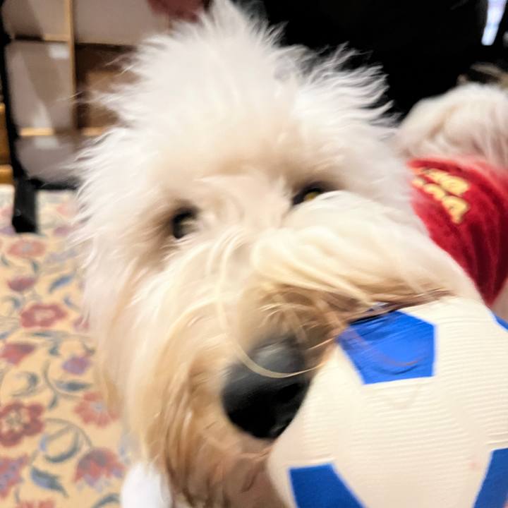 4425e732 f7bb 4d60 8d16 5475eda38273 1737754974997