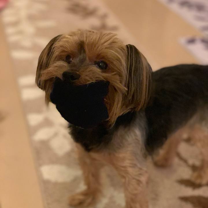 4425f12b 5fed 4be8 a014 f30ce695568f 1574500539378