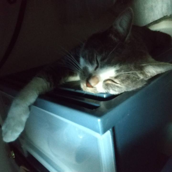 4425f390 b9ff 4076 87e2 db40af8295b4 1627773487801