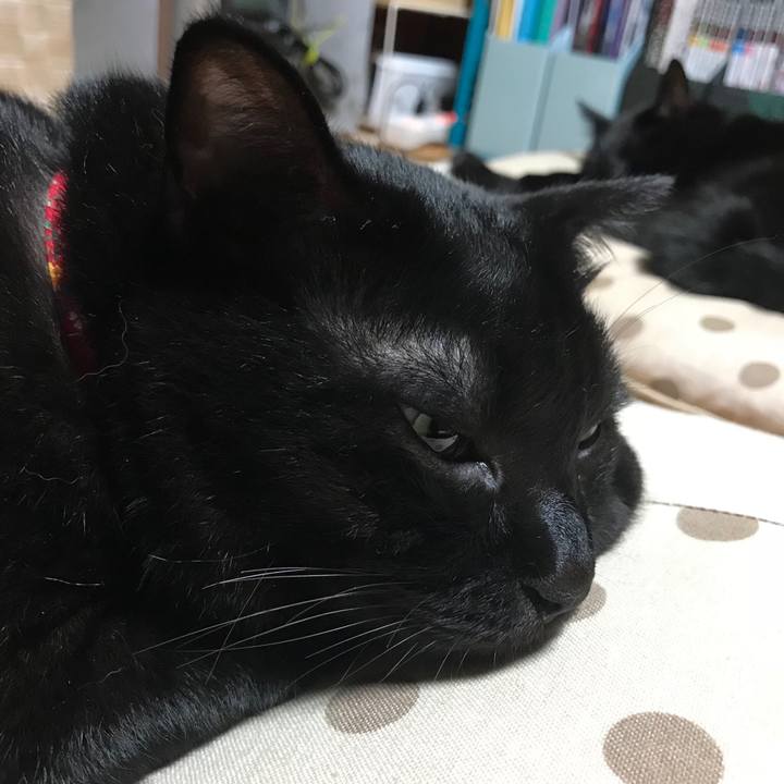 44263cd2 8745 42d4 abf4 dae824a5dceb 1537019931686