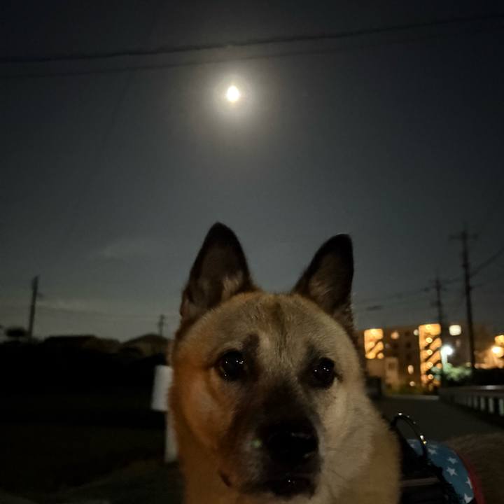 442673e7 2dc8 428c a480 4bbaa1f209c7 1759752273961