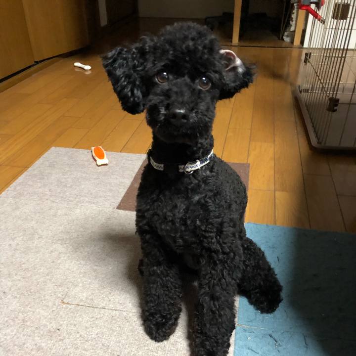 442696ac f882 48c9 a61c be3f4679e8eb 1532776244451