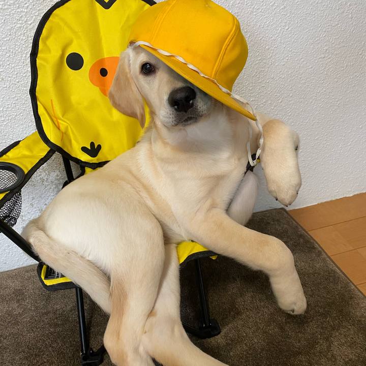 442697f4 63b0 4998 8944 f4c8aaf89b35 1615513478949