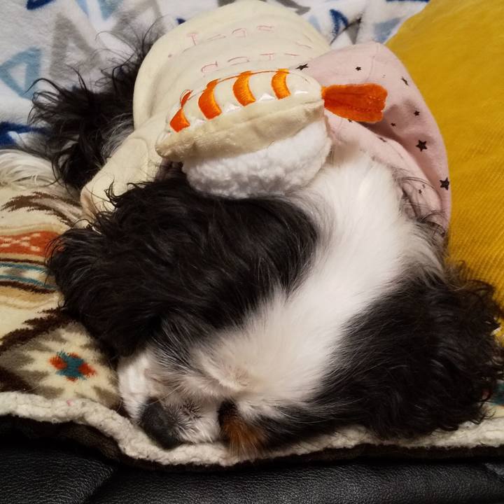 4426c33a 8214 45c9 b125 1397f0a1d929 1583057432524